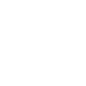 Logo Casalini Bianco