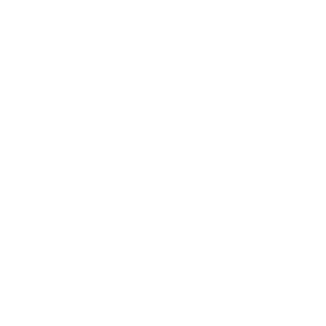 Logo Valenti Racing bianco