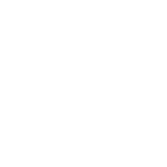 suzuki-w